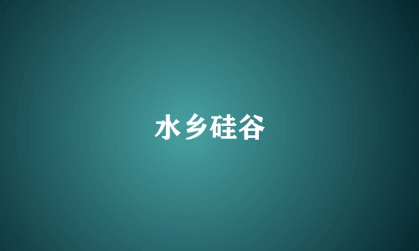 水乡硅谷