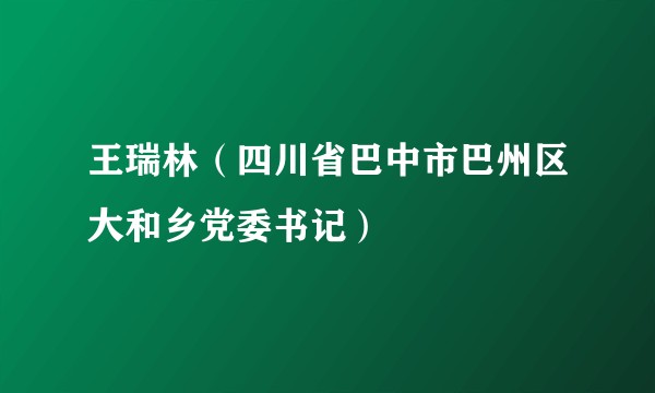 王瑞林（四川省巴中市巴州区大和乡党委书记）