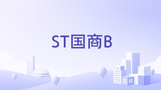 ST国商B