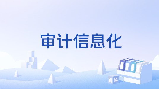 审计信息化（审计中充分利用信息技术和信息系统）
