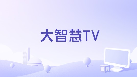 大智慧TV