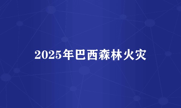 2025年巴西森林火灾