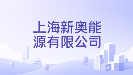 上海新奥能源有限公司