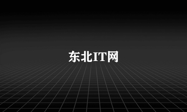 东北IT网