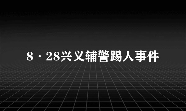 8·28兴义辅警踢人事件