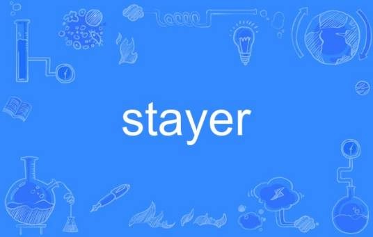 stayer