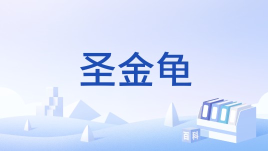 圣金龟