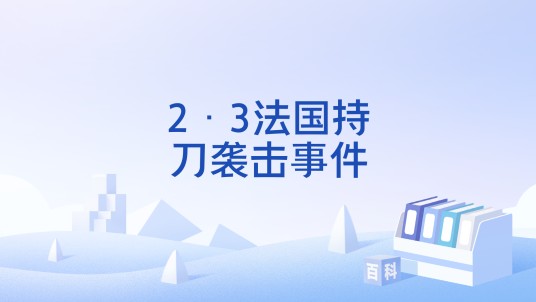 2·3法国持刀袭击事件