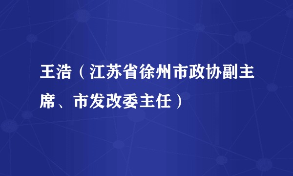 王浩（江苏省徐州市政协副主席、市发改委主任）