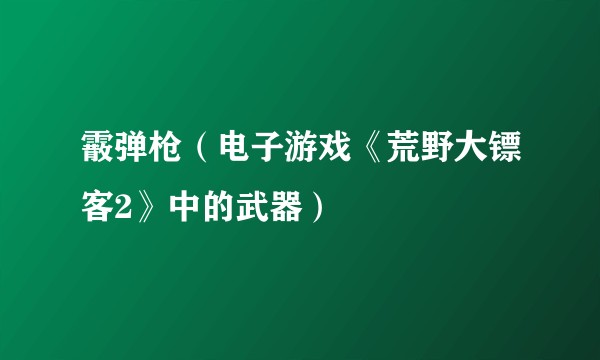 霰弹枪(电子游戏《荒野大镖客2》中的武器)