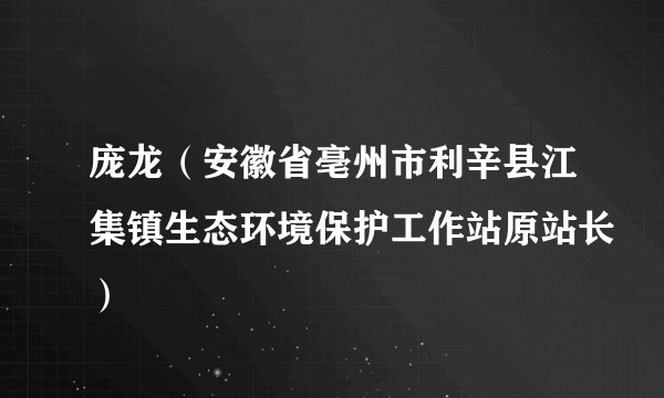 庞龙（安徽省亳州市利辛县江集镇生态环境保护工作站原站长）