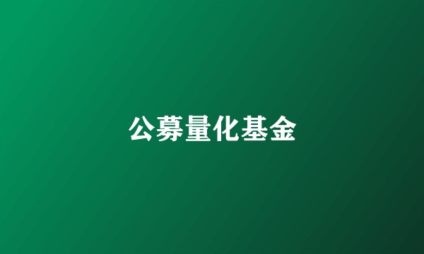 公募量化基金