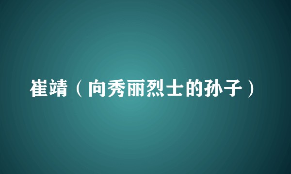 崔靖（向秀丽烈士的孙子）