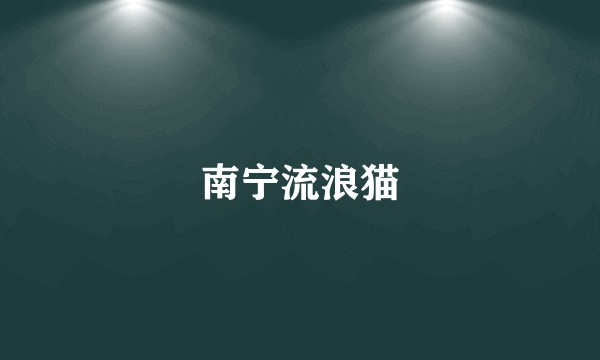南宁流浪猫