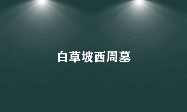 白草坡西周墓
