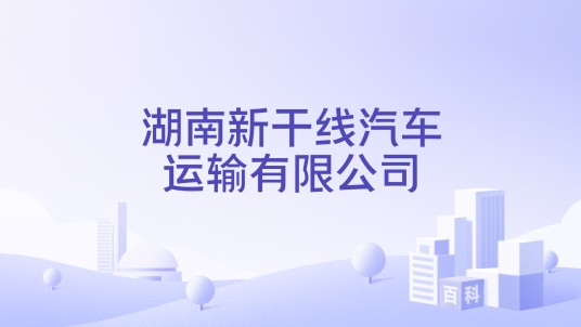 湖南新干线汽车运输有限公司