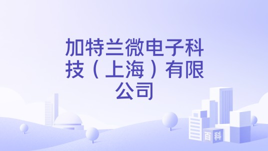 加特兰微电子科技（上海）有限公司