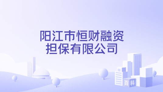 阳江市恒财融资担保有限公司