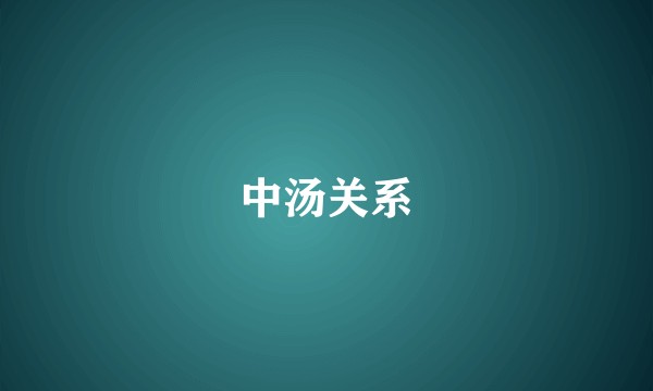 中汤关系
