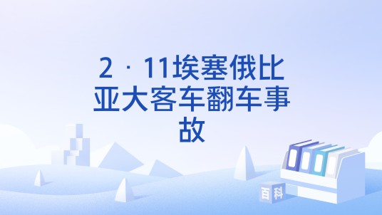 2·11埃塞俄比亚大客车翻车事故