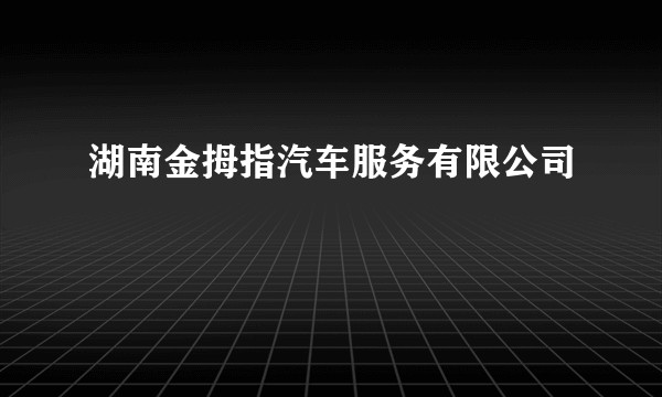 湖南金拇指汽车服务有限公司