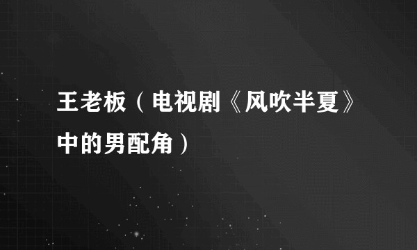 王老板（电视剧《风吹半夏》中的男配角）