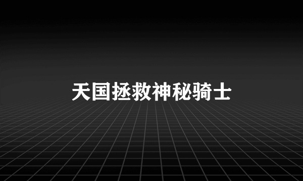 天国拯救神秘骑士