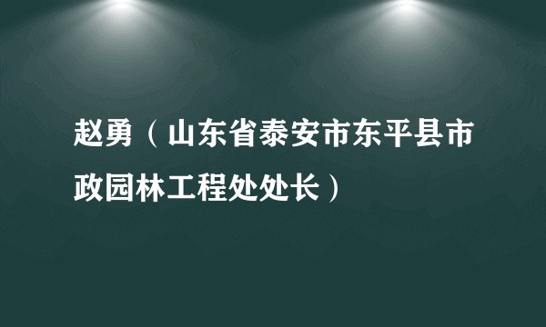赵勇（山东省泰安市东平县市政园林工程处处长）