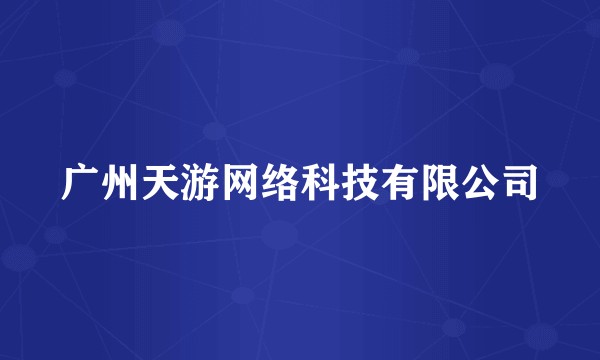 广州天游网络科技有限公司