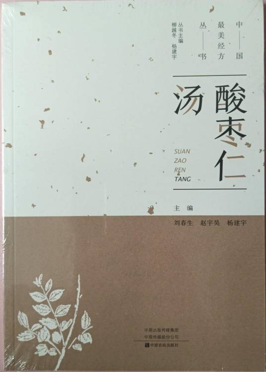 酸枣仁汤（2019年中原农民出版社出版的图书）