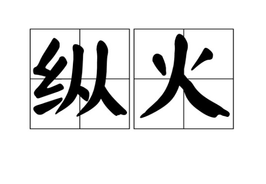 纵火（故意放火焚烧公私财物危害公共安全的行为）