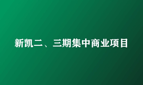 新凯二、三期集中商业项目