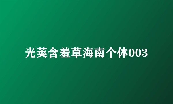 光荚含羞草海南个体003
