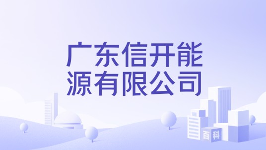 广东信开能源有限公司