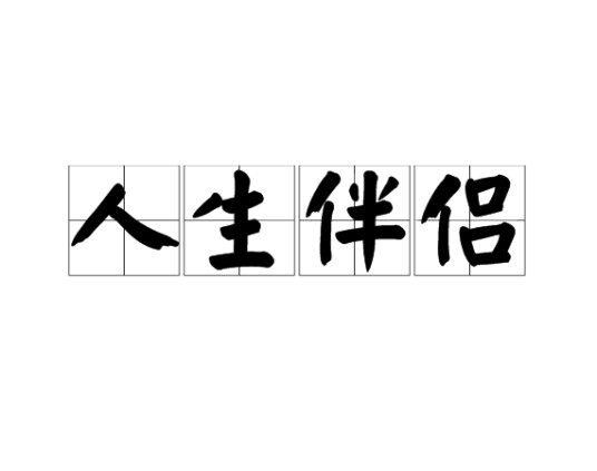 人生伴侣（汉语词语）