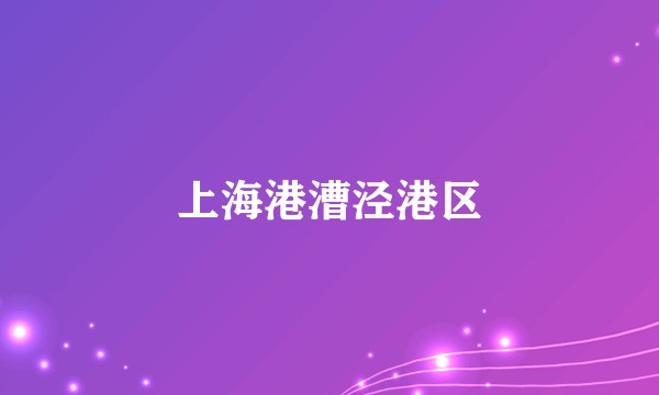 上海港漕泾港区