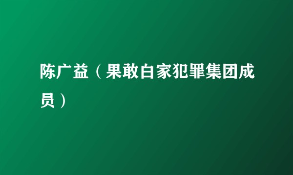 陈广益(果敢白家犯罪集团成员)