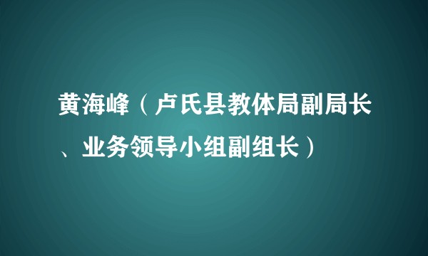 黄海峰（卢氏县教体局副局长、业务领导小组副组长）