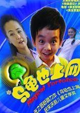 乌龟也上网（2009年郦虹执导的电影）