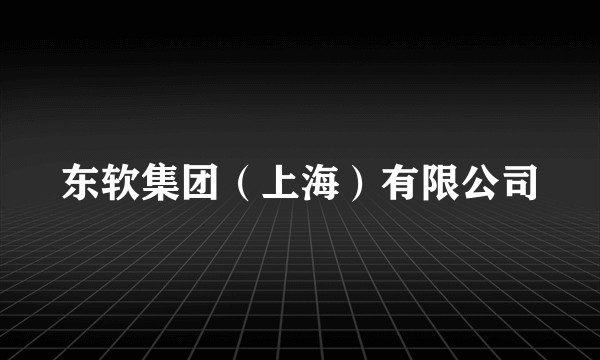 东软集团（上海）有限公司