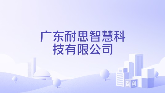 广东耐思智慧科技有限公司