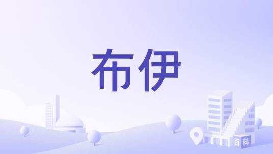 布伊（美国马里兰州乔治王子县城市）