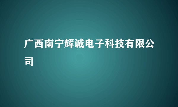 广西南宁辉诚电子科技有限公司