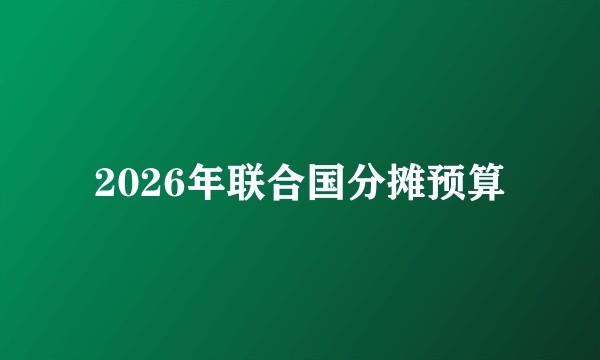 2026年联合国分摊预算