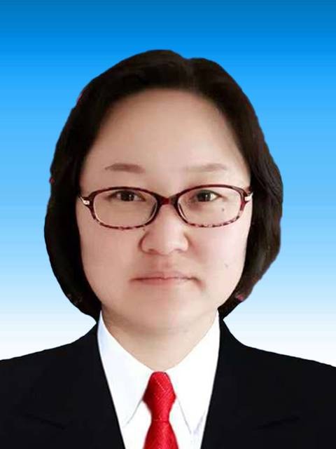 陈婷（新疆维吾尔自治区阿克苏市柯坪县政府党组成员）