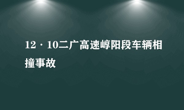 12·10二广高速崞阳段车辆相撞事故