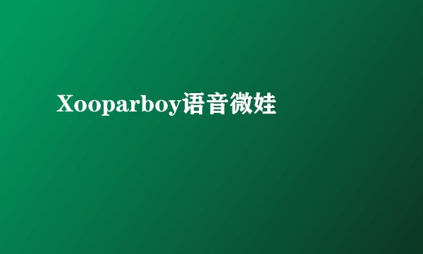 Xooparboy语音微娃