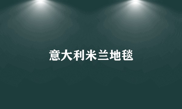 意大利米兰地毯