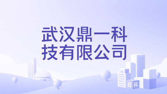武汉鼎一科技有限公司