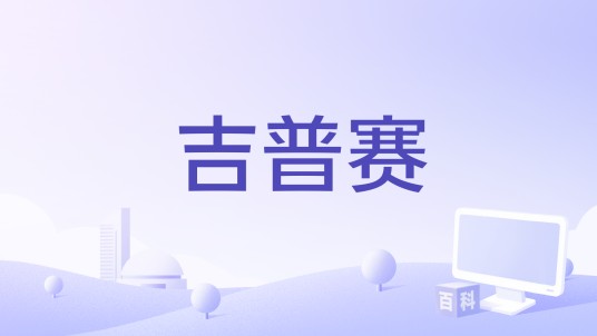 吉普赛(捷克2011年马丁·舒利克执导的电影)